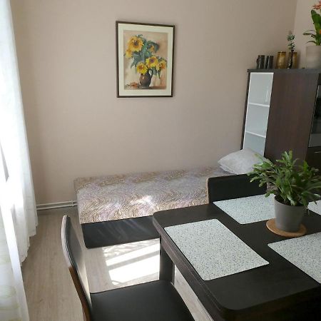 Apartman Marenka Нове-Место-на-Мораве Экстерьер фото